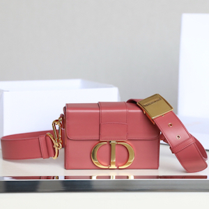 Dior Montaigne box bag