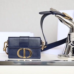 Dior Montaigne box bag